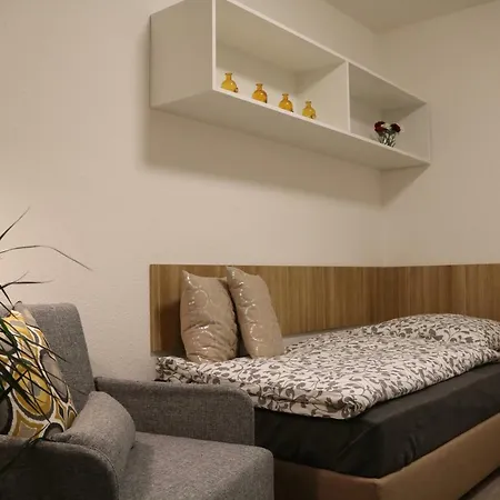 Apartment Suite-apartement In Hd Heidelberg
